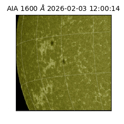 saia - 2026-02-03T12:00:14.126000