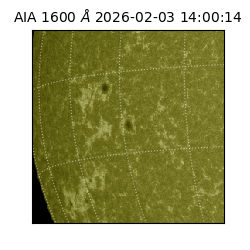 saia - 2026-02-03T14:00:14.124000