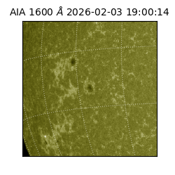 saia - 2026-02-03T19:00:14.126000