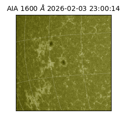 saia - 2026-02-03T23:00:14.126000