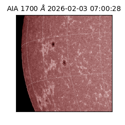 saia - 2026-02-03T07:00:28.721000