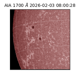 saia - 2026-02-03T08:00:28.710000