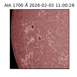 saia - 2026-02-03T11:00:28.717000