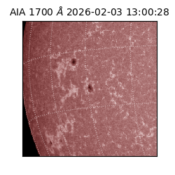 saia - 2026-02-03T13:00:28.719000