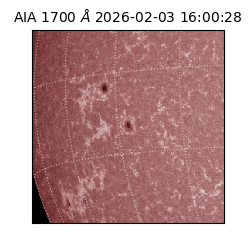 saia - 2026-02-03T16:00:28.717000