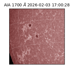 saia - 2026-02-03T17:00:28.717000