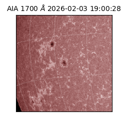 saia - 2026-02-03T19:00:28.717000