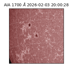 saia - 2026-02-03T20:00:28.710000