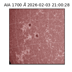 saia - 2026-02-03T21:00:28.718000