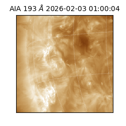 saia - 2026-02-03T01:00:04.843000