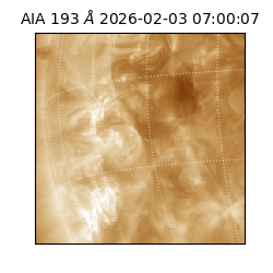 saia - 2026-02-03T07:00:07.033000