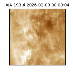 saia - 2026-02-03T08:00:04.843000