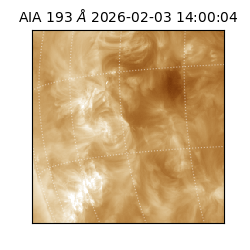 saia - 2026-02-03T14:00:04.835000