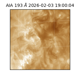 saia - 2026-02-03T19:00:04.843000