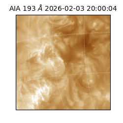 saia - 2026-02-03T20:00:04.843000