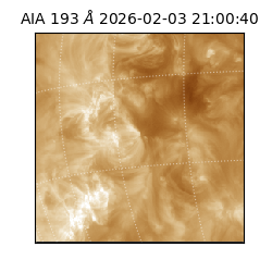 saia - 2026-02-03T21:00:40.838000