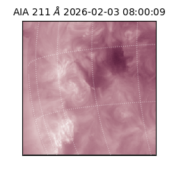 saia - 2026-02-03T08:00:09.631000