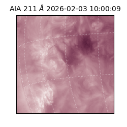 saia - 2026-02-03T10:00:09.632000