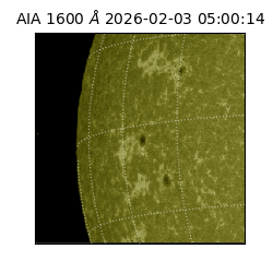 saia - 2026-02-03T05:00:14.118000