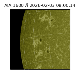 saia - 2026-02-03T08:00:14.126000