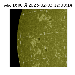 saia - 2026-02-03T12:00:14.126000