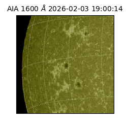 saia - 2026-02-03T19:00:14.126000