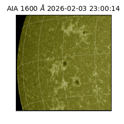 saia - 2026-02-03T23:00:14.126000