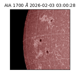 saia - 2026-02-03T03:00:28.726000