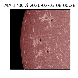 saia - 2026-02-03T08:00:28.710000