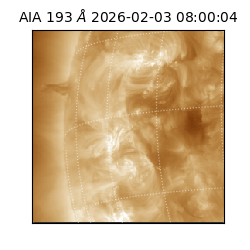 saia - 2026-02-03T08:00:04.843000