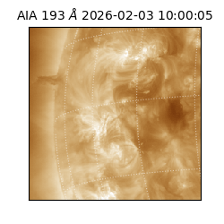 saia - 2026-02-03T10:00:05.916000