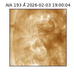 saia - 2026-02-03T19:00:04.843000