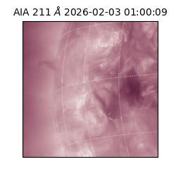 saia - 2026-02-03T01:00:09.633000