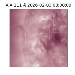 saia - 2026-02-03T03:00:09.633000