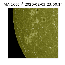 saia - 2026-02-03T23:00:14.126000