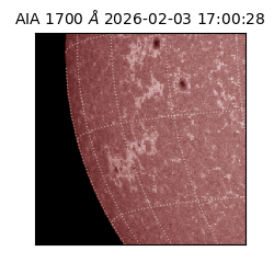 saia - 2026-02-03T17:00:28.717000