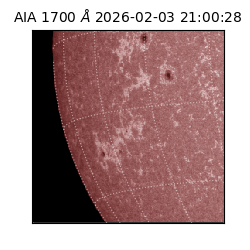 saia - 2026-02-03T21:00:28.718000