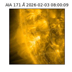 saia - 2026-02-03T08:00:09.350000