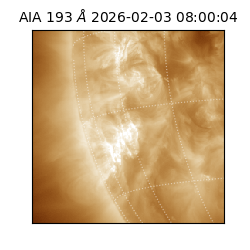 saia - 2026-02-03T08:00:04.843000