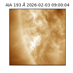 saia - 2026-02-03T09:00:04.835000