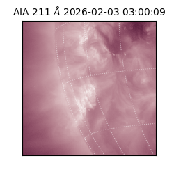 saia - 2026-02-03T03:00:09.633000