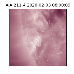 saia - 2026-02-03T08:00:09.631000
