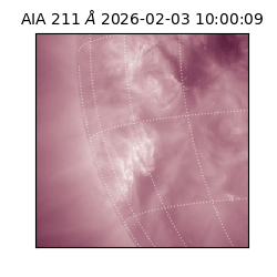 saia - 2026-02-03T10:00:09.632000