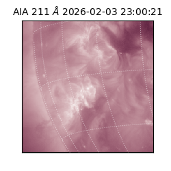 saia - 2026-02-03T23:00:21.631000