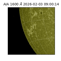 saia - 2026-02-03T09:00:14.118000