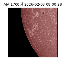 saia - 2026-02-03T08:00:28.710000