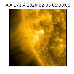 saia - 2026-02-03T09:00:09.342000