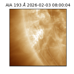 saia - 2026-02-03T08:00:04.843000