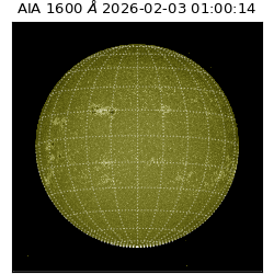 saia - 2026-02-03T01:00:14.126000