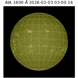 saia - 2026-02-03T03:00:14.126000